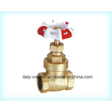 Forged Brass Gate Valve with Iron Handle